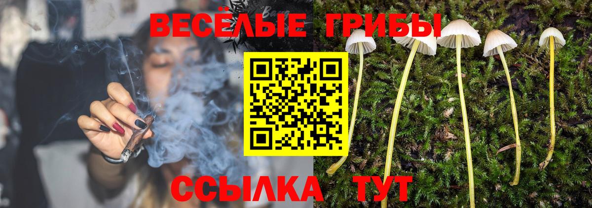 Псилоцибиновые грибы ЛСД Можга